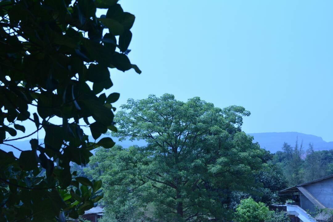 Mango Holiday Resort Kolhapur Luaran gambar