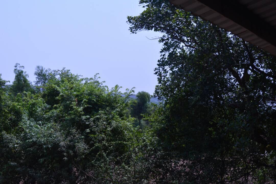 Mango Holiday Resort Kolhapur Luaran gambar