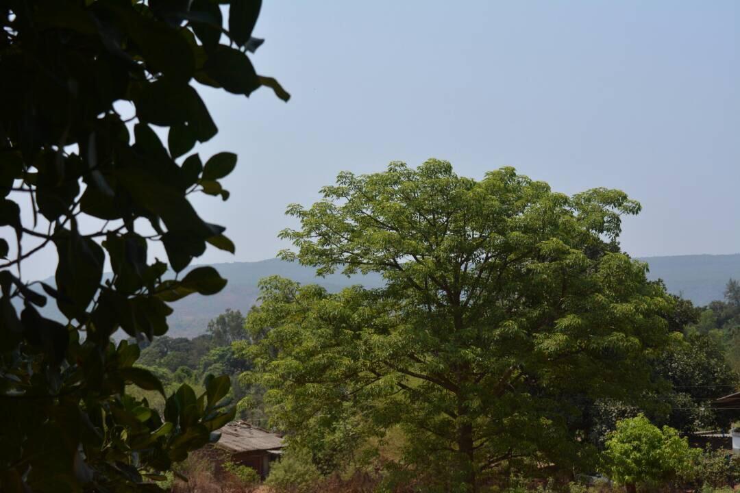 Mango Holiday Resort Kolhapur Luaran gambar