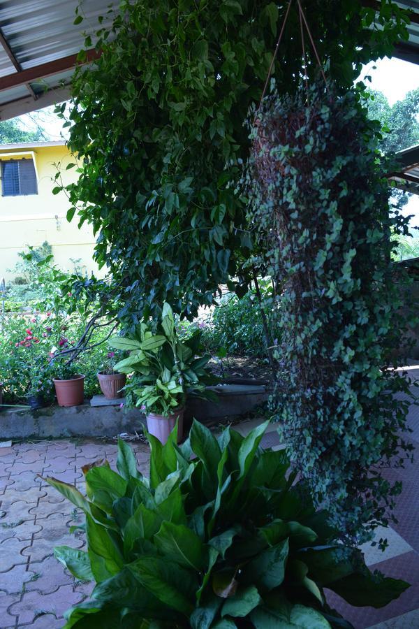 Mango Holiday Resort Kolhapur Luaran gambar