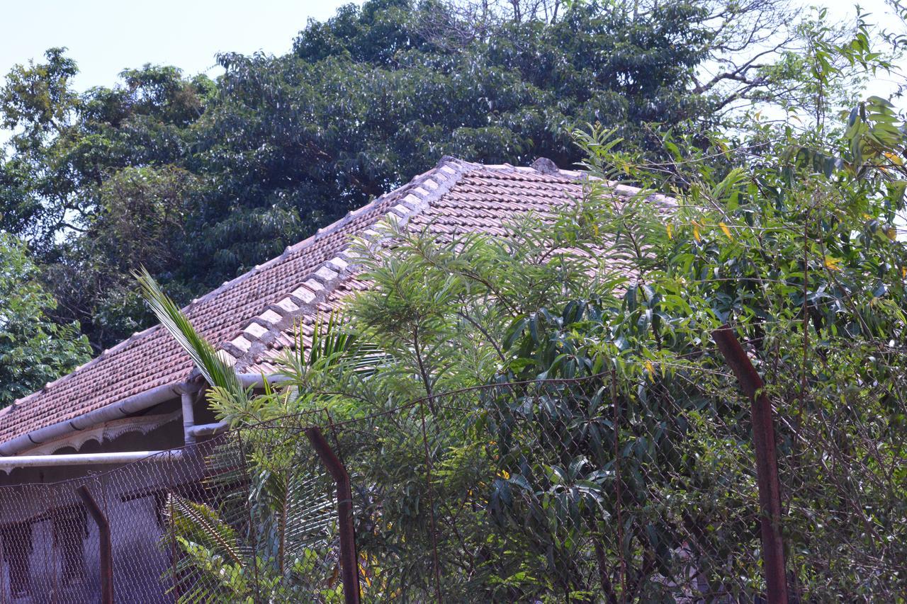 Mango Holiday Resort Kolhapur Luaran gambar